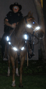 night safety